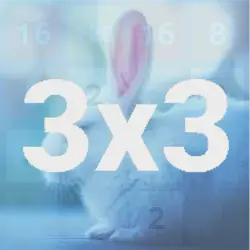 Dive into a bunny-filled puzzle on a compact 3x3 grid in 2048 Bunnies. Perfect for quick, adorable fun!